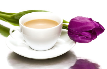 white cup of coffee with violet tulip