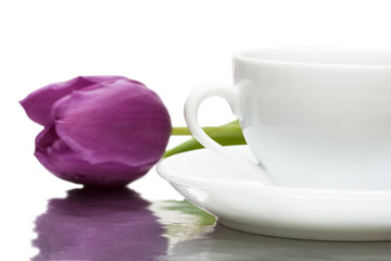 Fototapeta na wymiar white cup of coffee with violet tulip