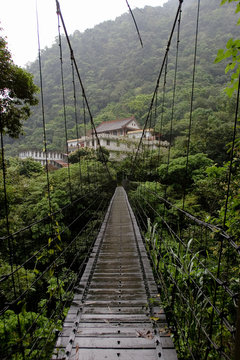 Suspended bridge vanishing into the distance