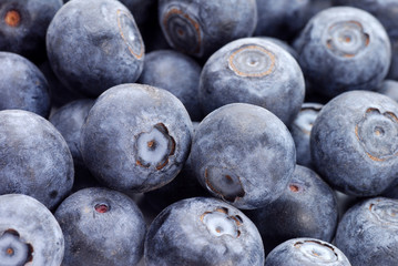 Blaubeeren Close Up