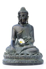 buddha with daisy in hand, on white - 6843648