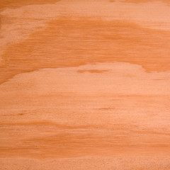 Obraz premium Smooth Grained Ply Wood Textured Abstract Background