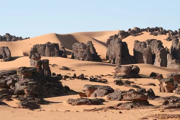 Türaufkleber Wüstenszene © Robert Ulph