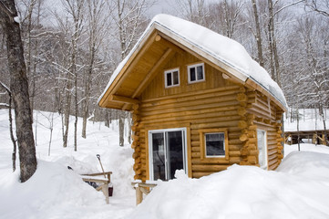refuge