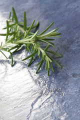 Rosemary