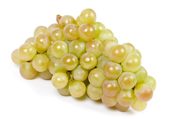 Bunch of White Wine Grape