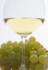 White Grape and a Glass of White Wine