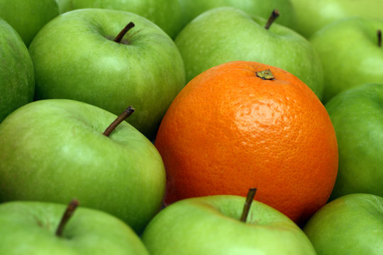 different concepts - orange between apples