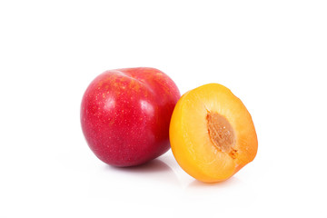 prugna