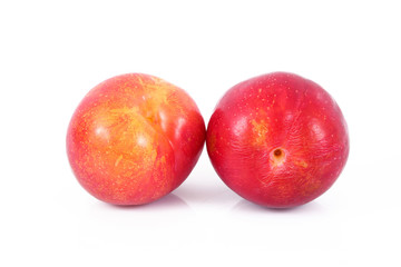 prugna