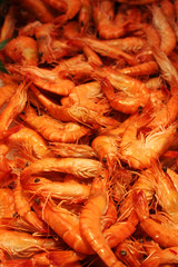 Beautiful Shrimps background. Seafood.