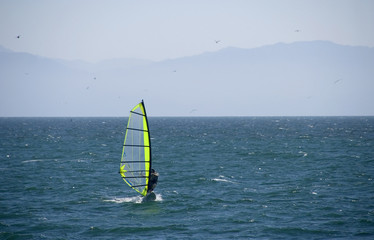 Windsurf