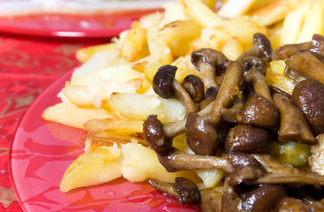 Fried potatoes and mushrooms closeup