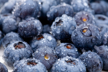 Frisches Obst - viele Blaubeeren