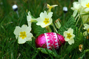 oeuf de paques