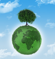 planete verte - ecologie