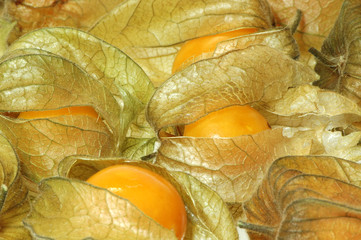 Obst 10