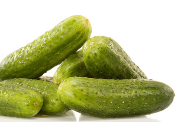 cucumber