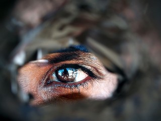 oeil