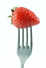 Single strawberry on fork