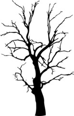 Isolated tree - 25. Silhouette