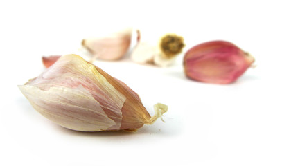 Garlick isolated on white background