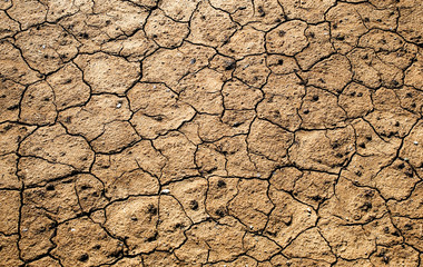 Cracked Earth
