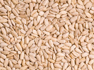 shelled sunflower seed
