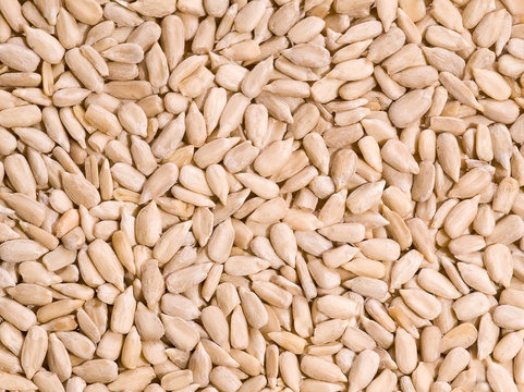 shelled sunflower seed