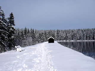 Wanderweg im Harz