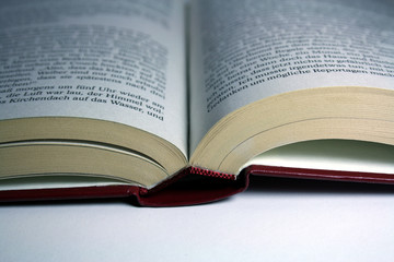 Buch
