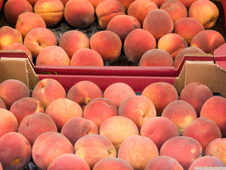 Peaches at the Market