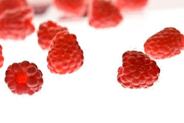 raspberry