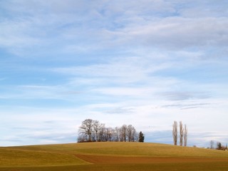 paysage rural