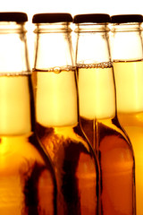 Beer Bottles