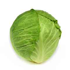 Cabbage green isolated on white background