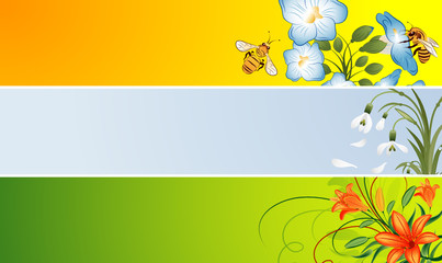 Fototapeta na wymiar Three variant flower banner with snowdrop, bee, lily, vector