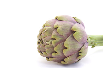 Obraz premium Artichoke