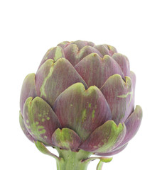 Artichoke