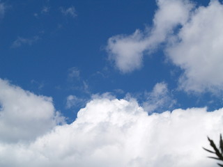 Obraz premium ciel provence