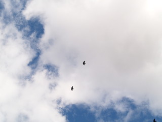 Fototapeta premium ciel provence