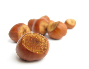 Hazelnuts isolated in white studio background
