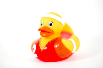 canard de bain