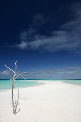 Fototapeta na wymiar Ile Pustynia Malediwy