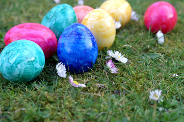 different color eggs