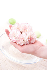 female hands in bowl full of water