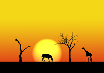 Fototapeta na wymiar african safari landscape