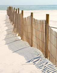 Dune Fence on Beach