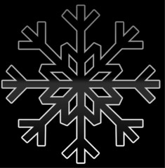 Black Snowflake
