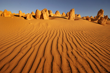 Pinnacles-woestijn in West-Australië